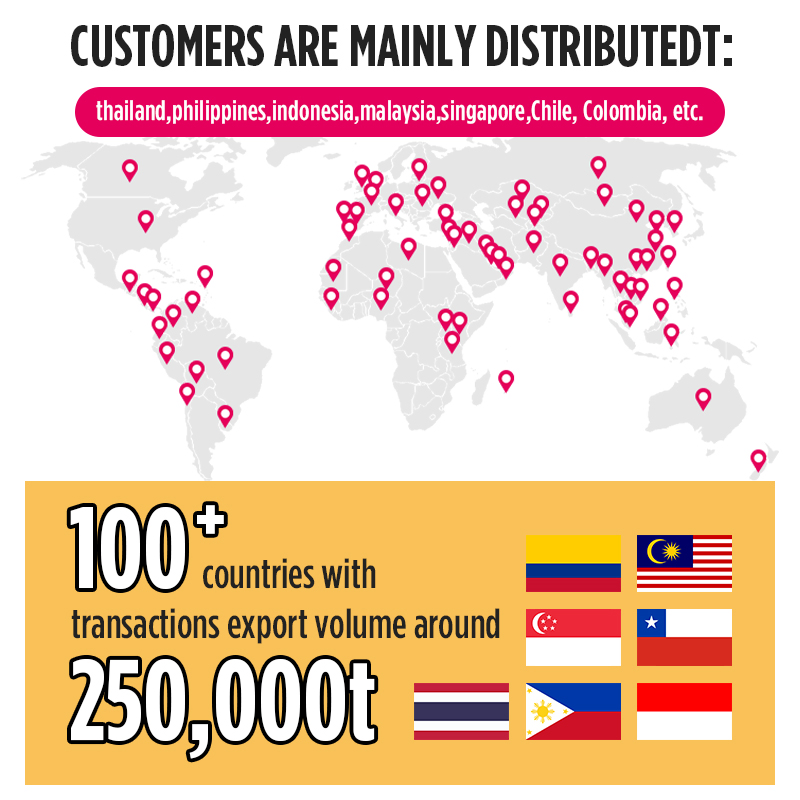 Premium Eco-Friendly Tofu Cat Litter for Wholesale Distribution