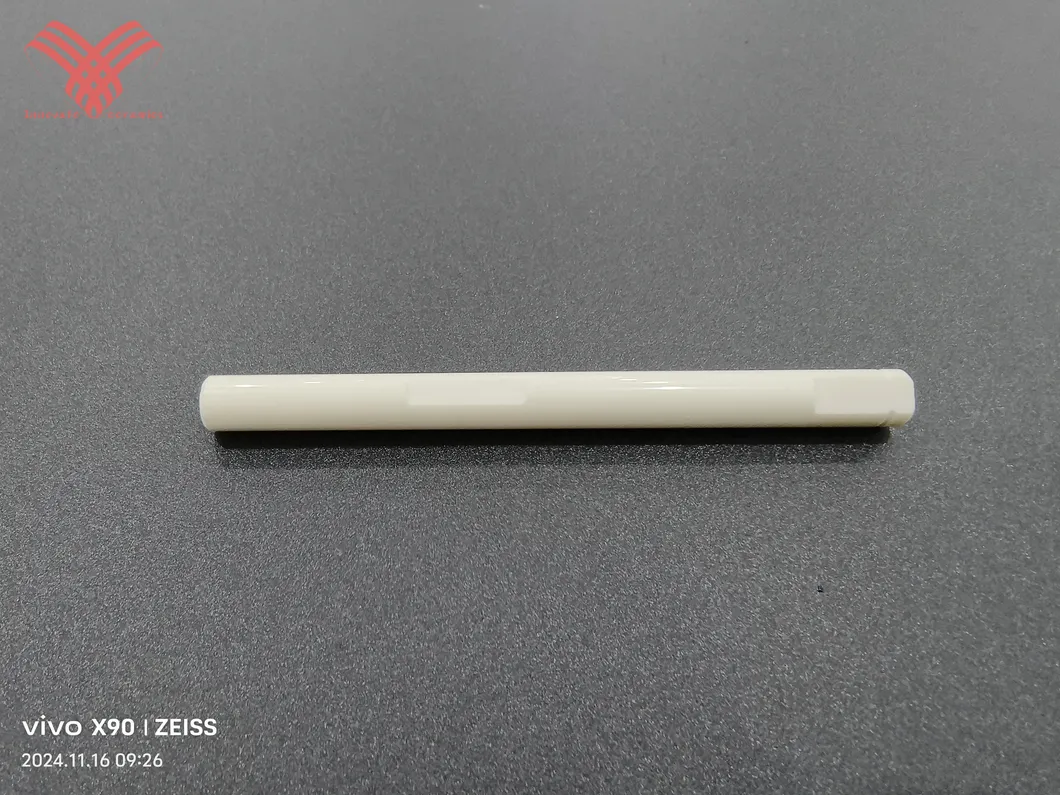 Ceramic Plunger Detail 1