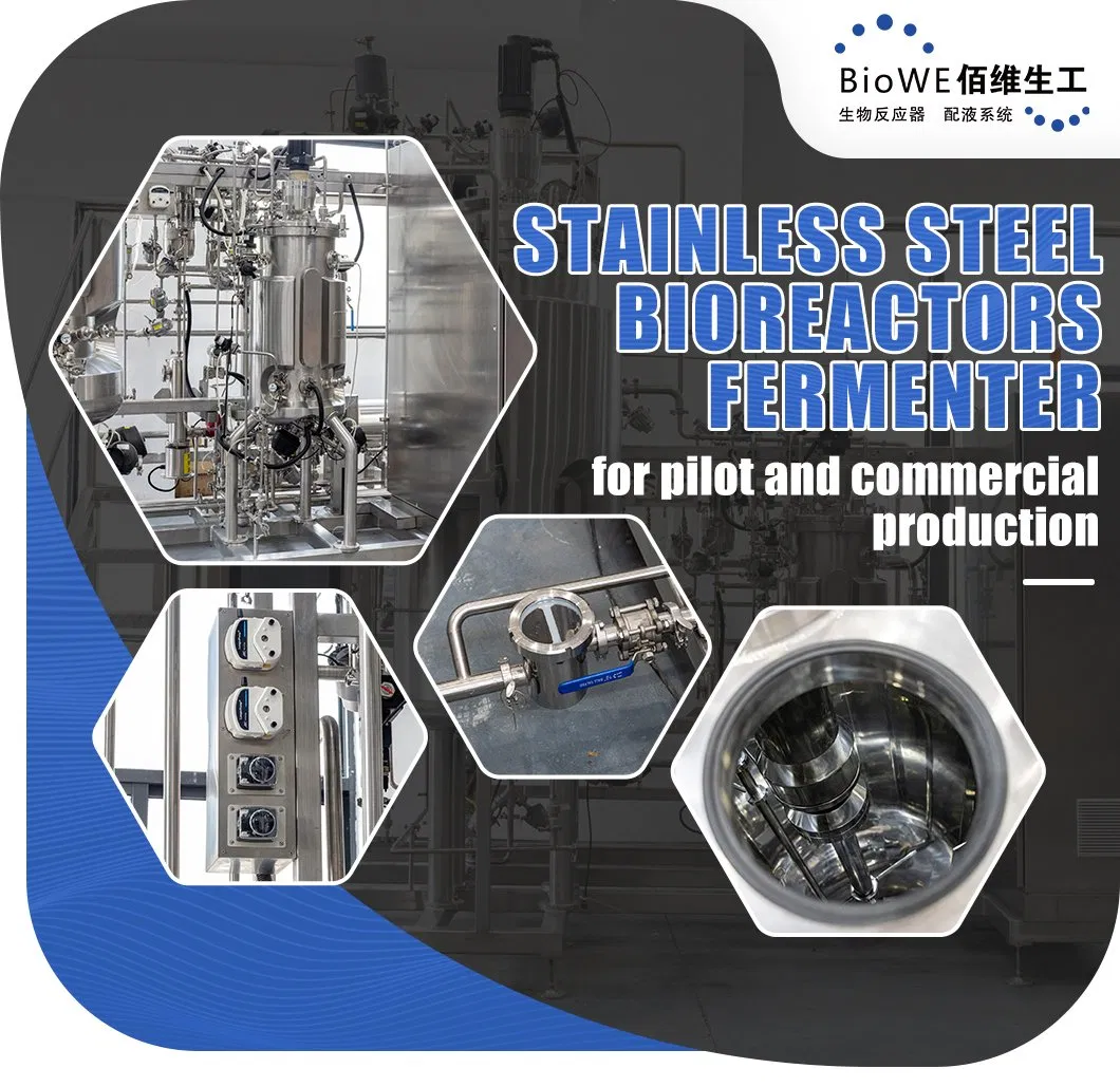 Stainless Steel Bioreactors