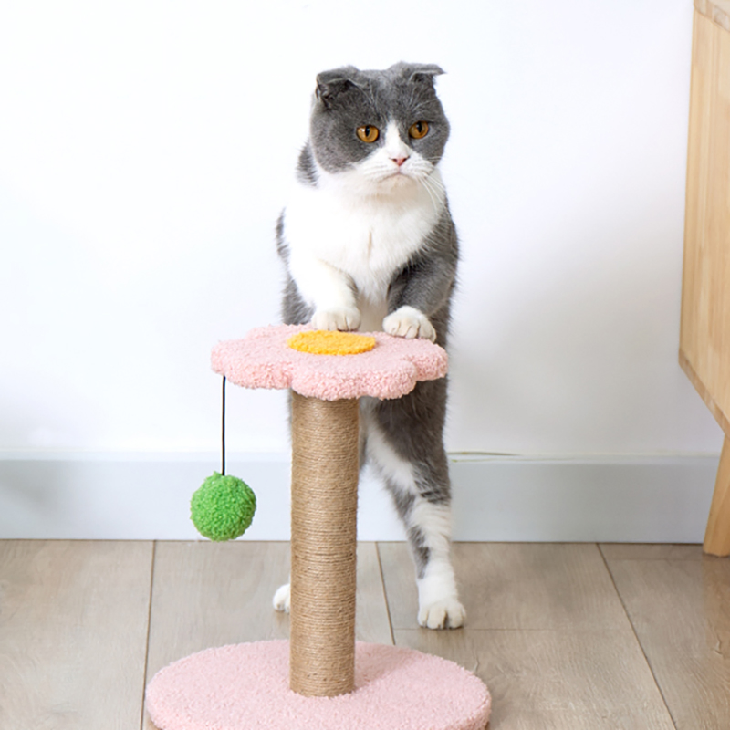 Engaging Kitty Activity Center with Colorful Condo and Sisal Features