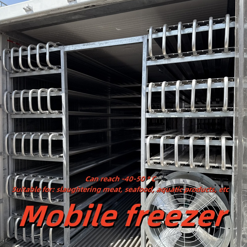 Walk-in Blast Cold Storage: Lock Freshness for Meat &amp; Seafood