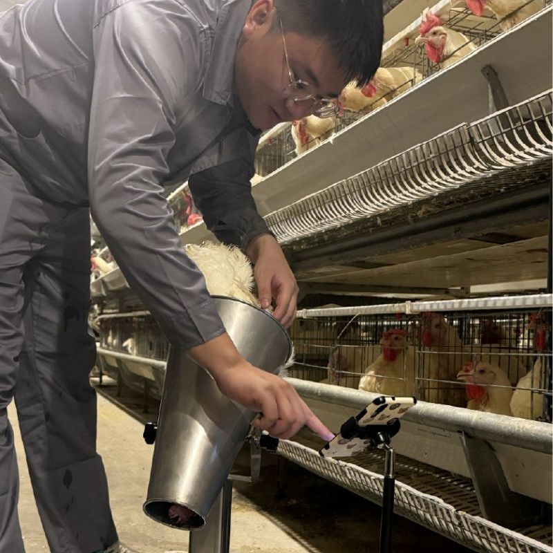 Ew101 Portable Chicken Weighing Scale - Intelligent Poultry Weight Monitoring Device