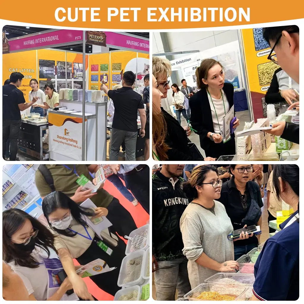 Pet Products Supply Premium Multi-Cat Litter Dust-Free Odor Control Natural Cat Litter Sand Low Tracking High Absorbency 1-3.8mm Bentonite Cat Litter