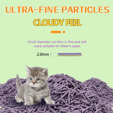 Purple Lavender Scented Tofu Cat Litter Biodegradable Low Dust and Delightful Scent for Sustainable Pet Care Solutions