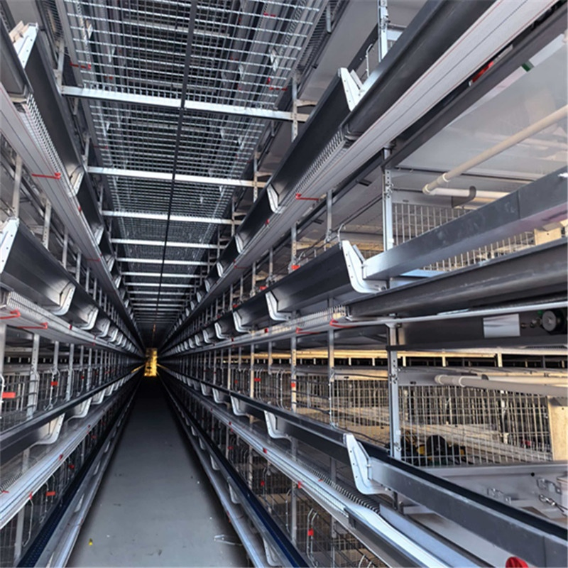 Bird Behavior Monitoring and Analysis Systems Chicken Cage Equipment