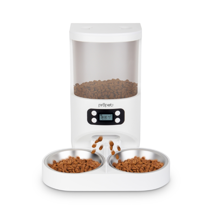 Smart Grain Language Recording Pet Feeder for Easy Animal Care