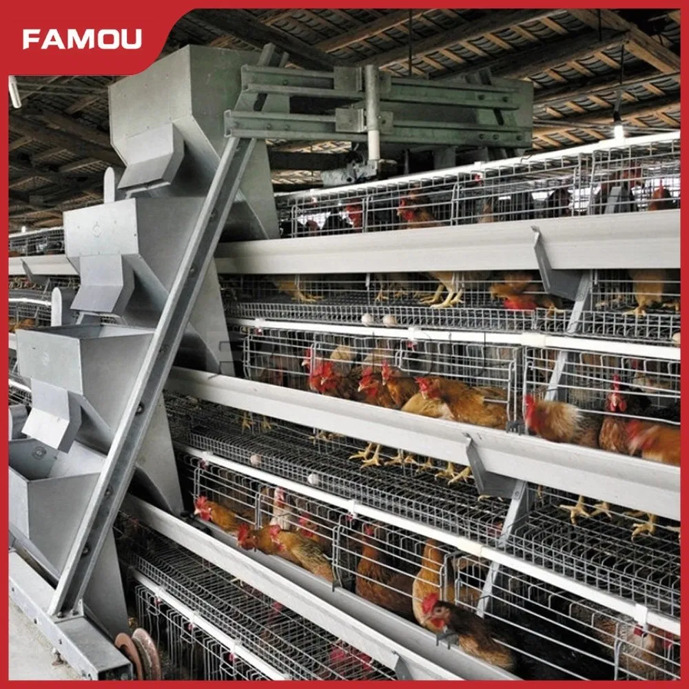 Advanced Automatic Feeding System for Poultry Farm Monitoring