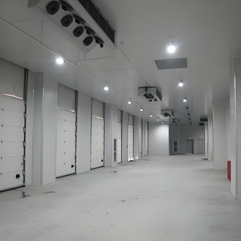 Commercial Refrigeration Cold Storage for Fish