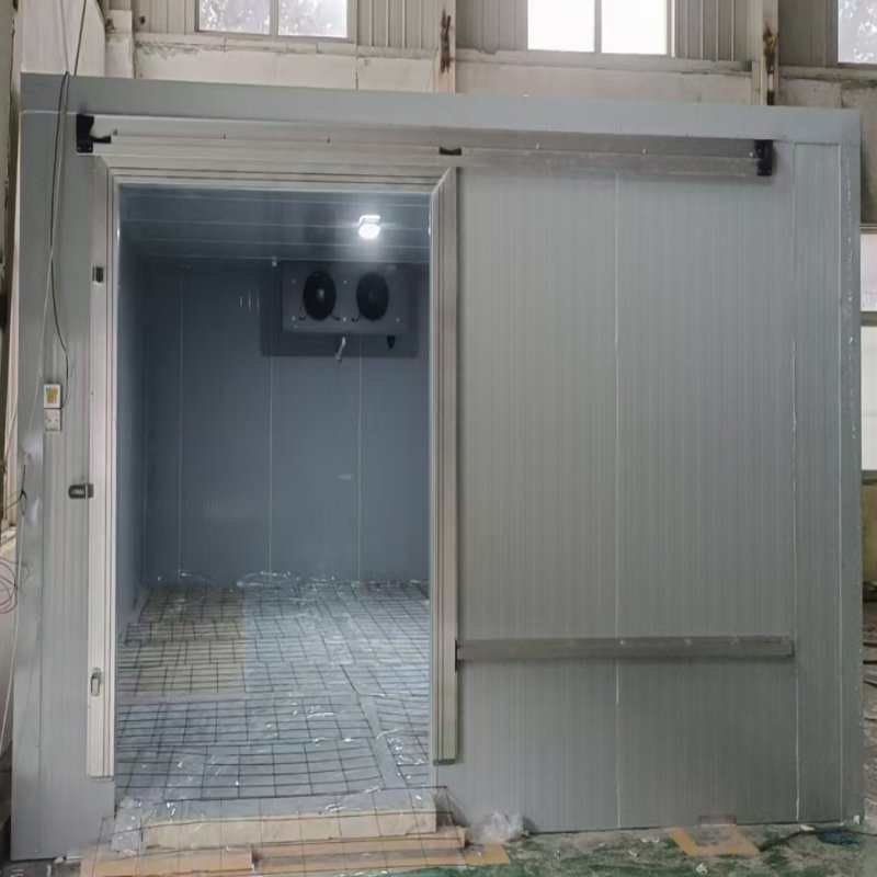 Customized Fish Cold Storage