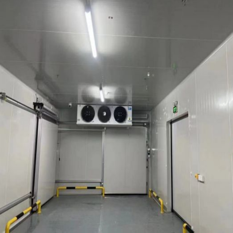 100 Ton Cold Storage for Potato Business