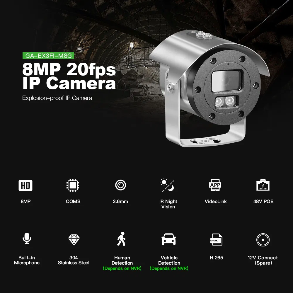 Explosion Proof Camera
