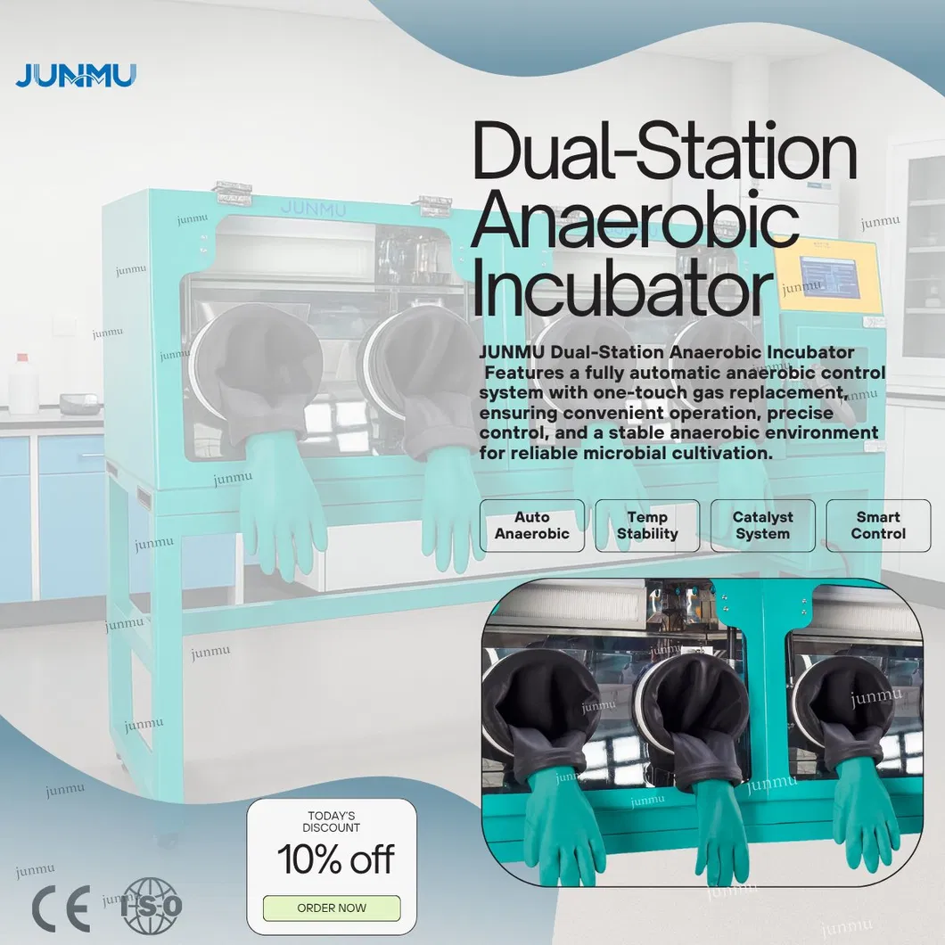 Anaerobic Workstation