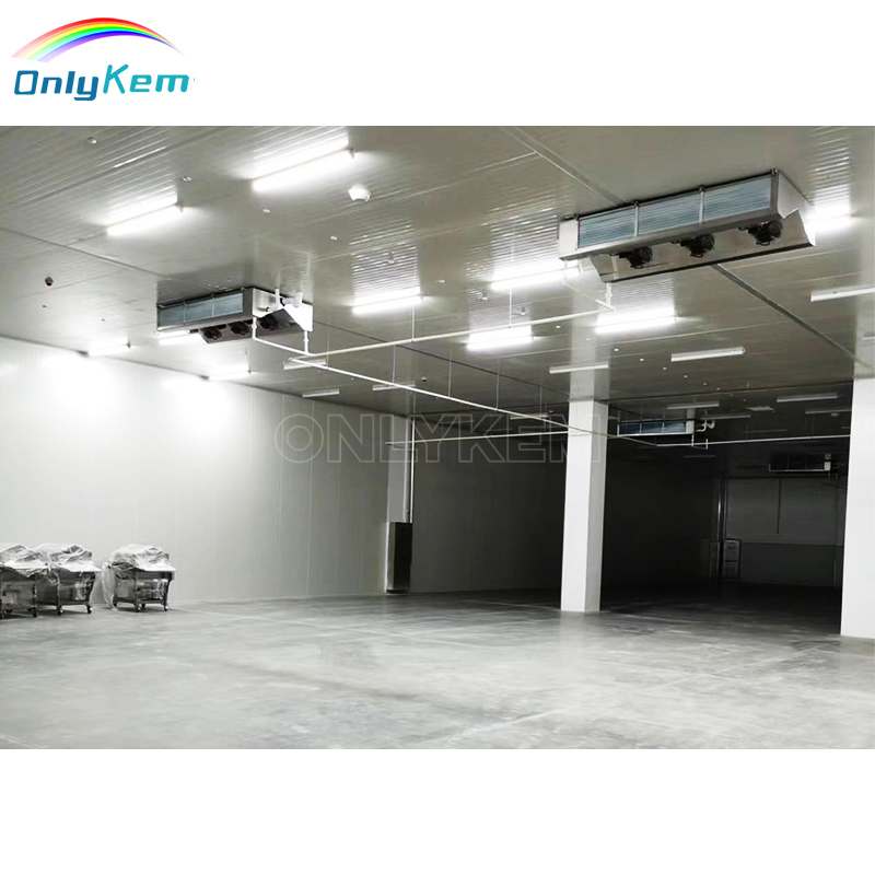 Hot Selling Walk in Freezer Cold Storage Refrigeration Cold Store Room for Fruits