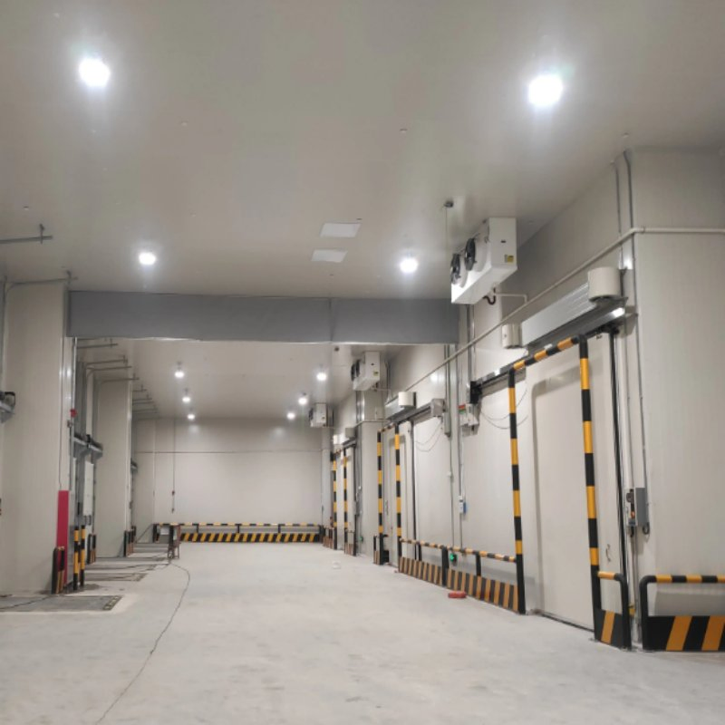 Commercial Refrigeration Cold Storage for Fish