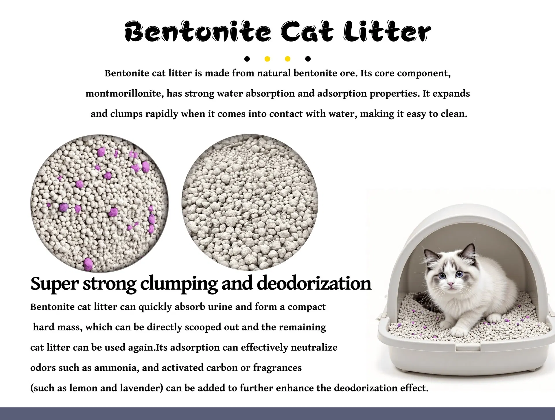 Cat Litter Photo 3