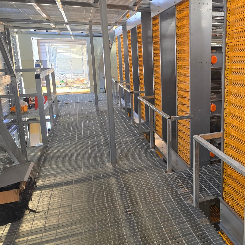 Feeding Automation with Precise Portion Control Features Chicken Cage Equipment