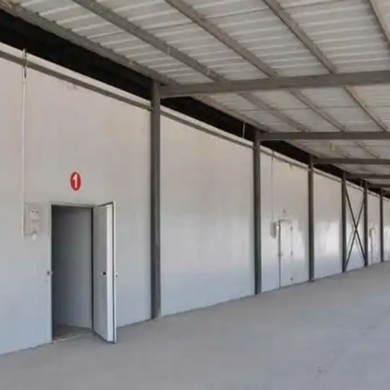 Customized Fish Cold Storage