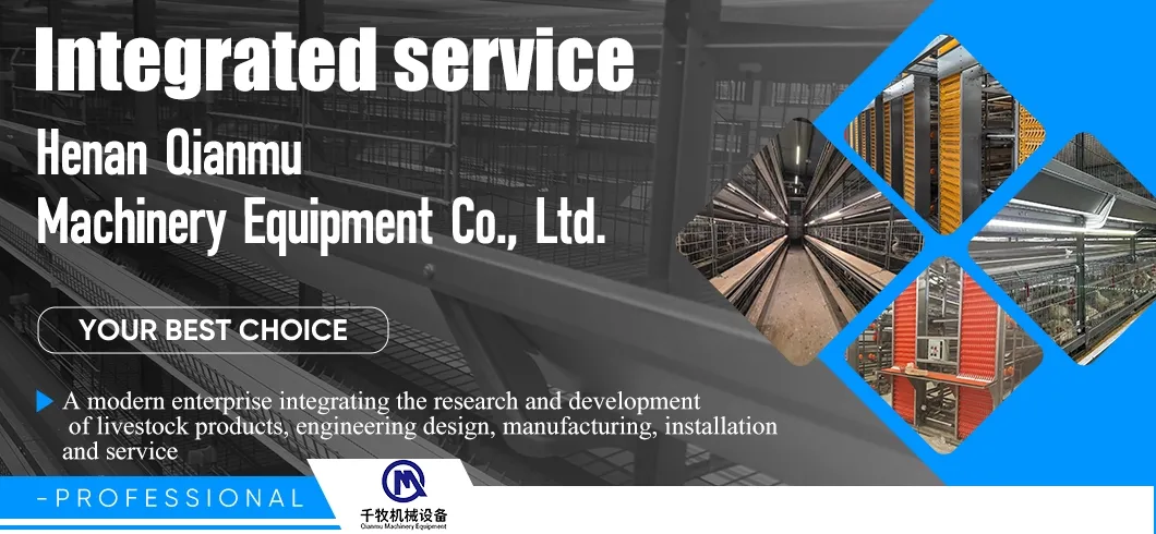 Chicken Cage Equipment