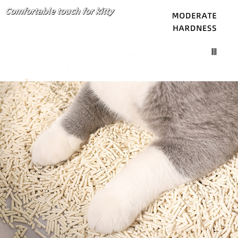 Factory Original Scent 6L Absorbent Flushable Cat Litter