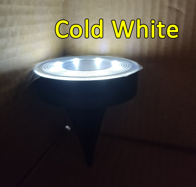 Decorative Outdoor Light