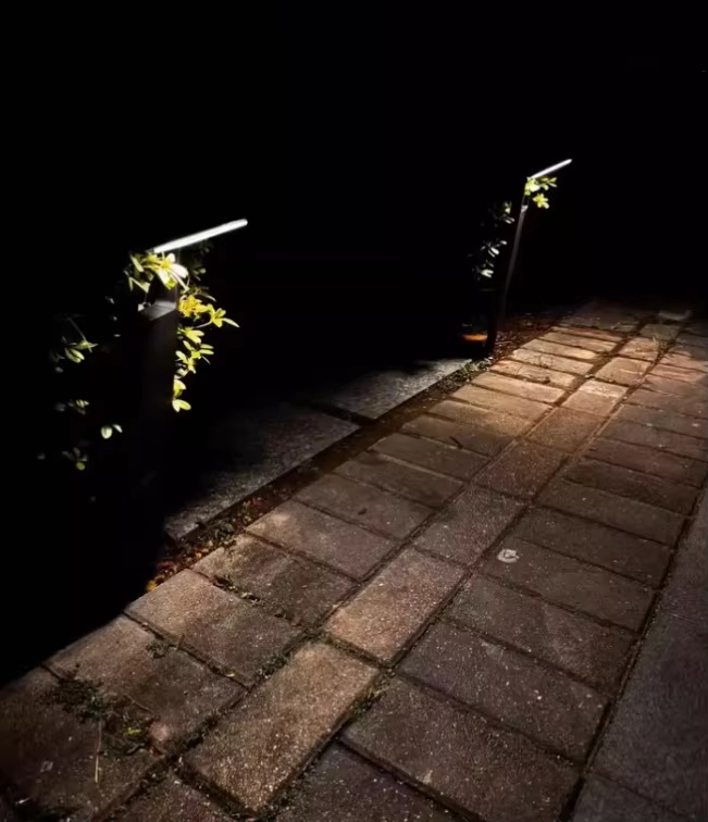 Solar Driveway Lights