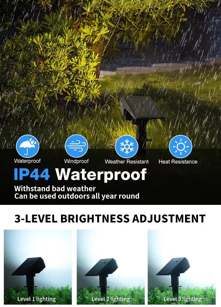 Solar Spotlight Features 2