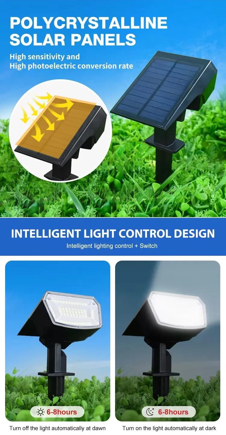 Solar Spotlight Features 1