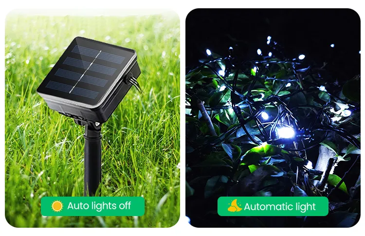 Solar String Lights View 3