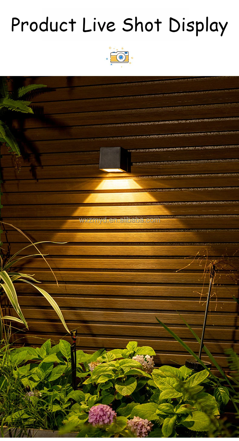 Solar Light 7