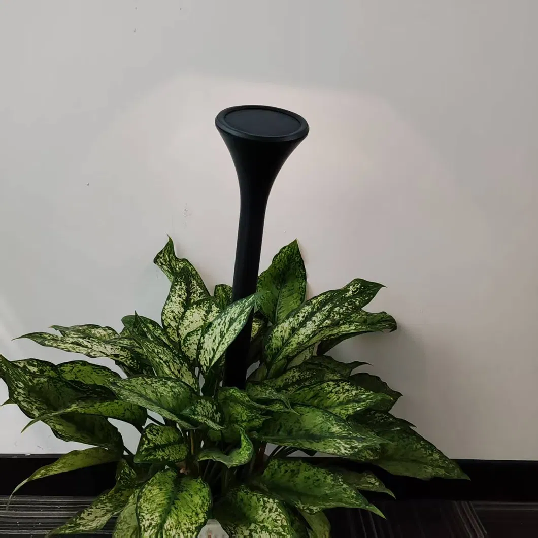 Display 6