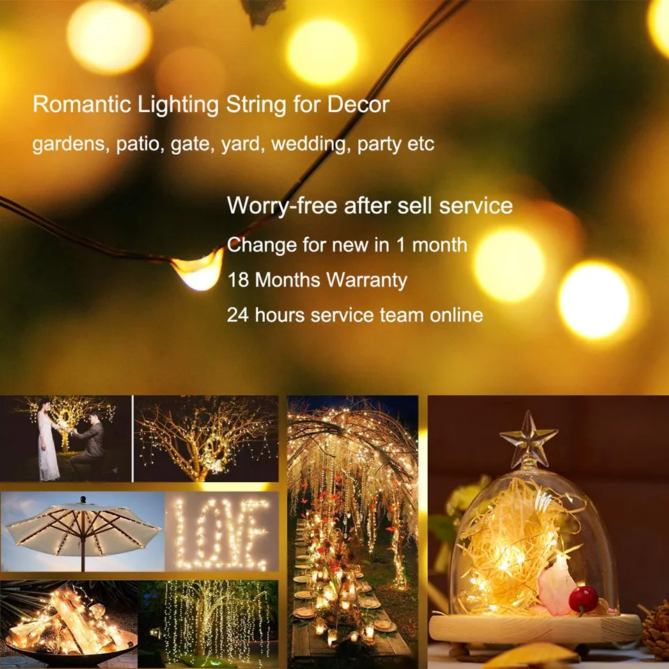 Solar String Lights 5