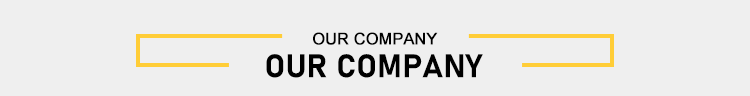 Company Overview