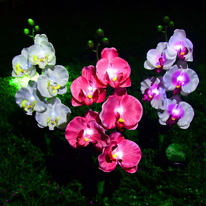 Solar Garden Decor