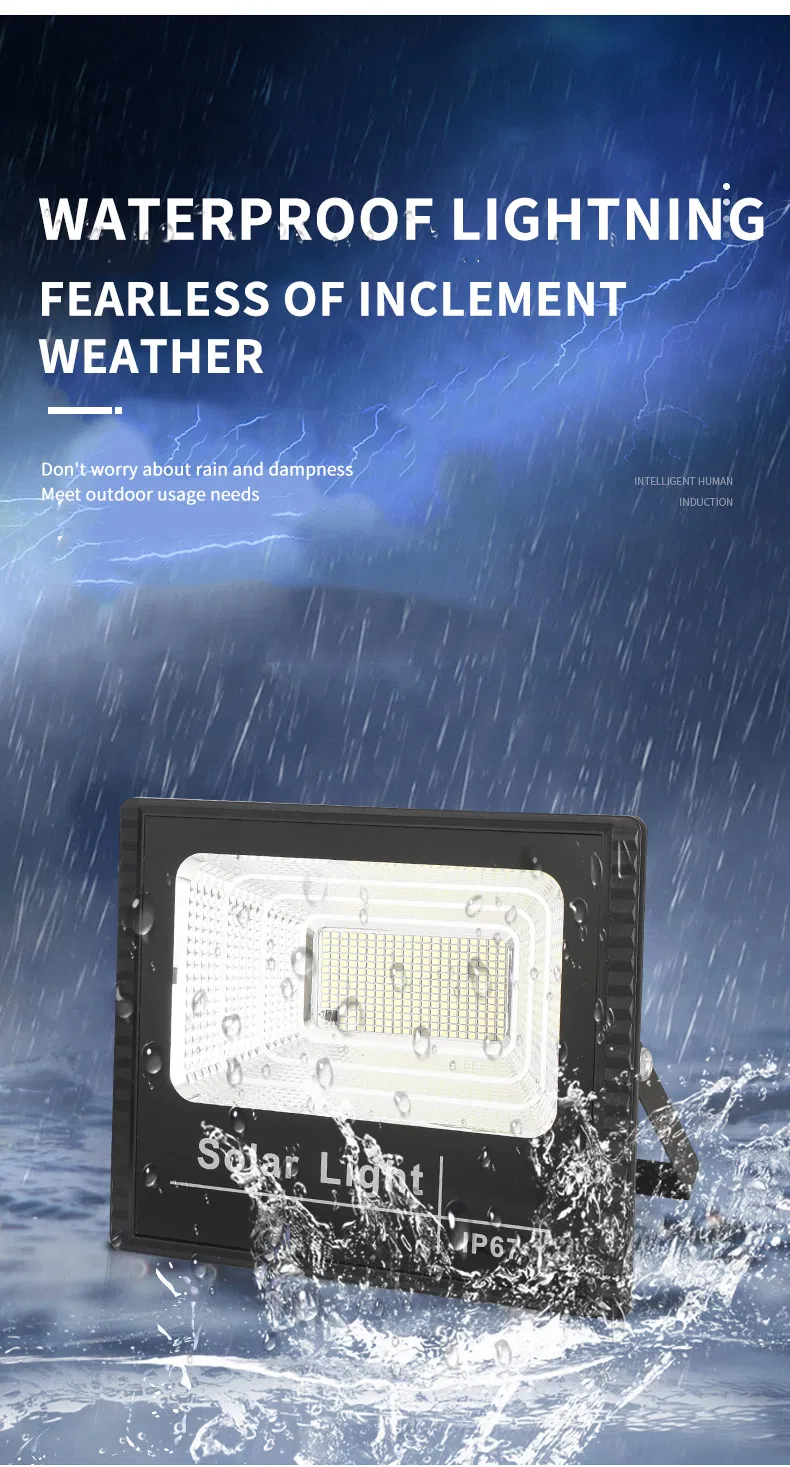 Solar Flood Light Features