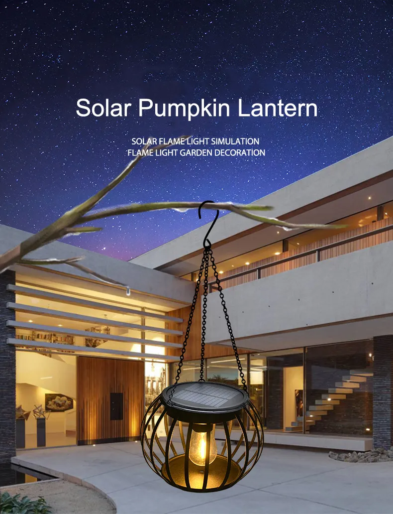 Solar Lantern Details 1