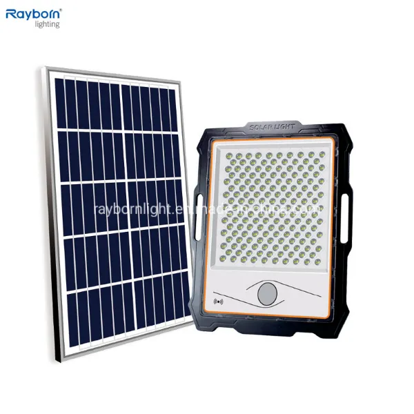 Solar Flood Light 1