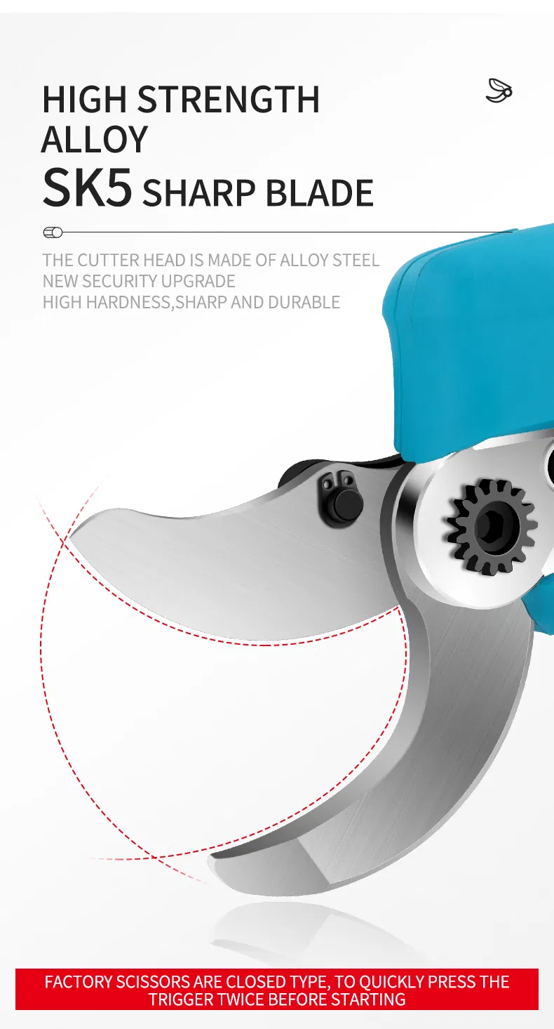 Pruning Shears Display 7