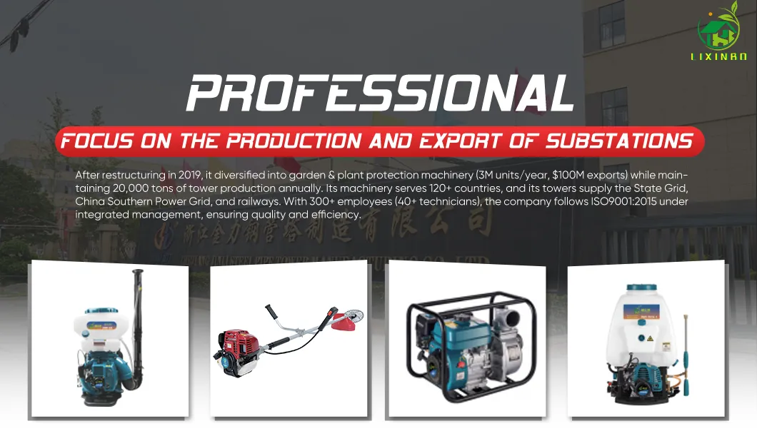 Knapsack Petrol Backpack Sprayer