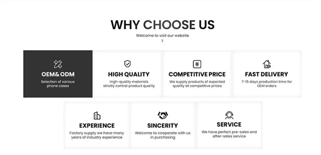 Professional Window Cleaning Tool