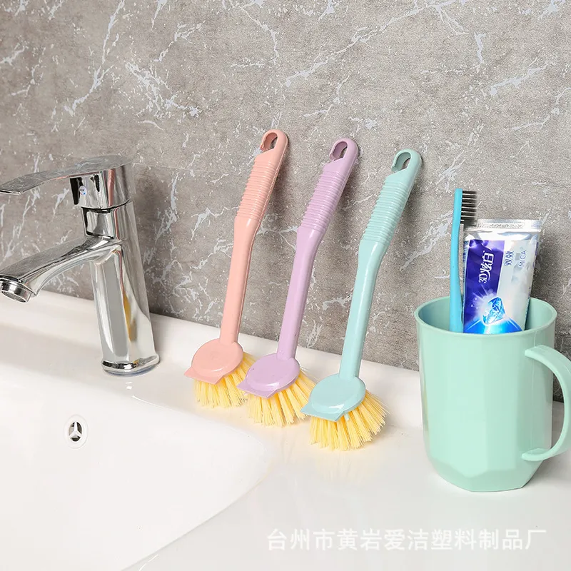 Scrub Brush Display 6