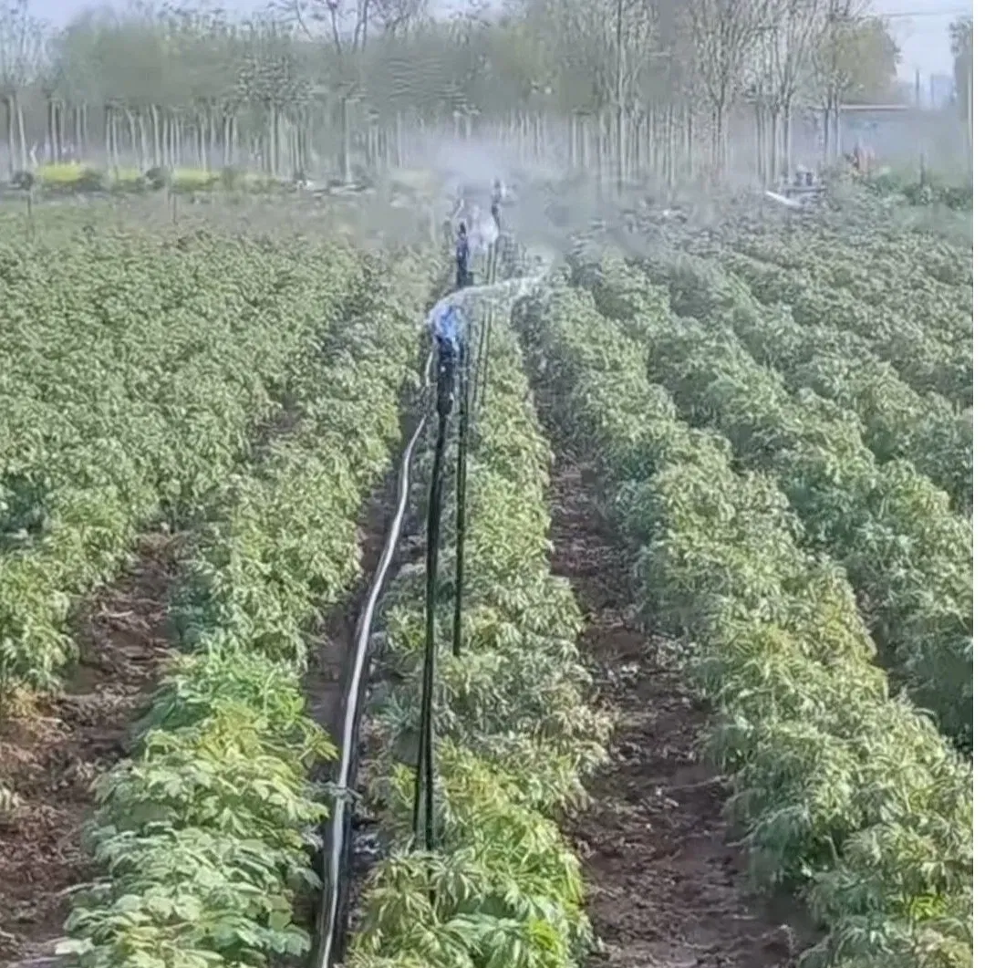 Advanced Rotating Nozzle Equipment for Effective Garden Watering Systems