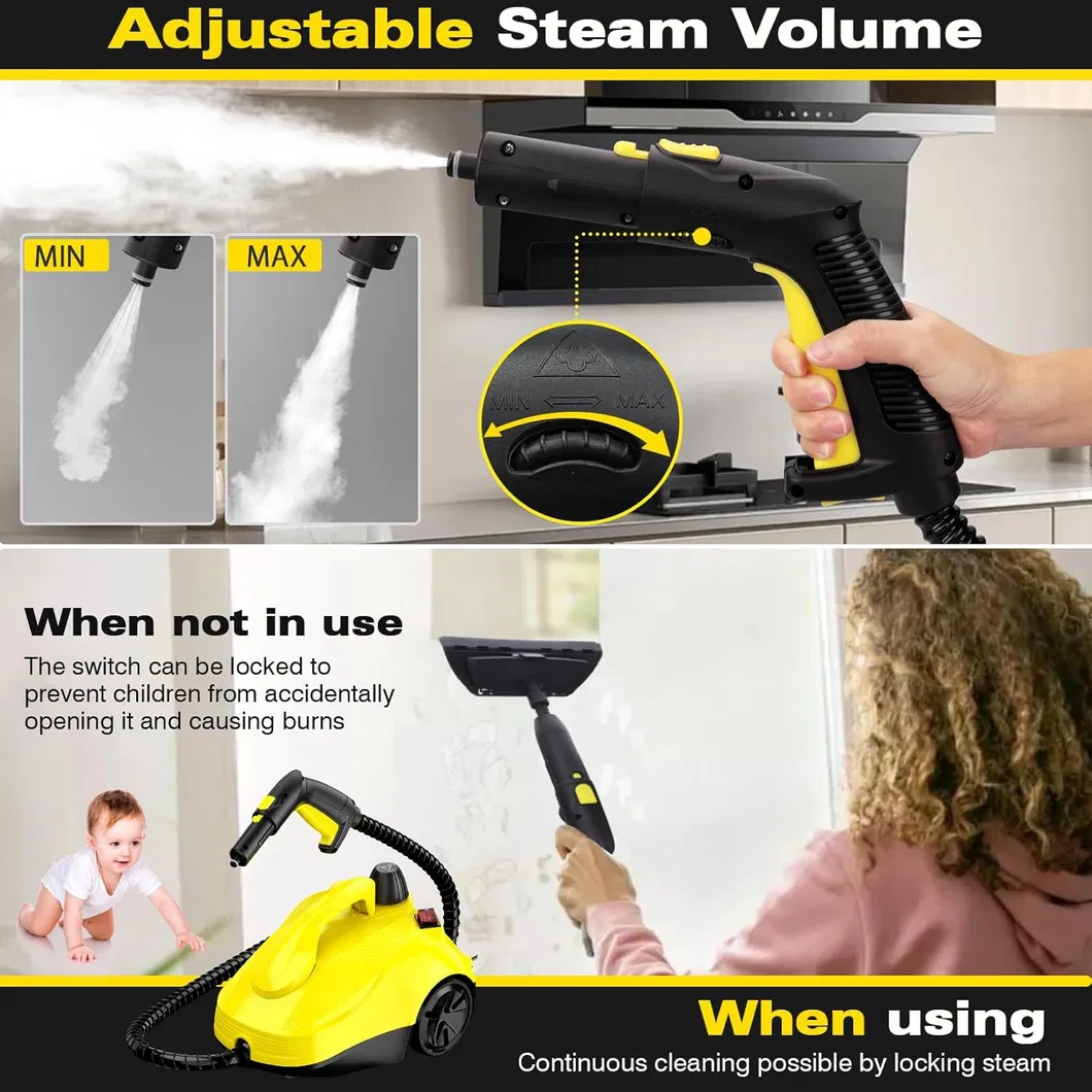 Steam Cleaner Details