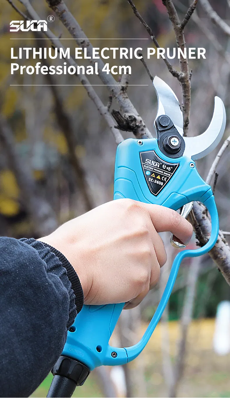 Pruning Shears Display 1