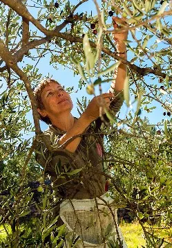 Picking Efficiency 2