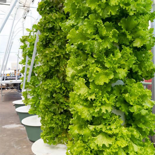 Automatic Watering Hydroponic Tower Growing 60 Holes Vertical Garden Equipment