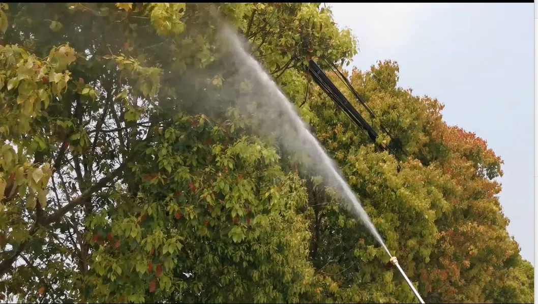 Garden Sprayer Detail 3