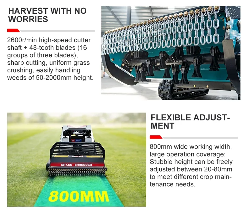 Remote Control Mower 5