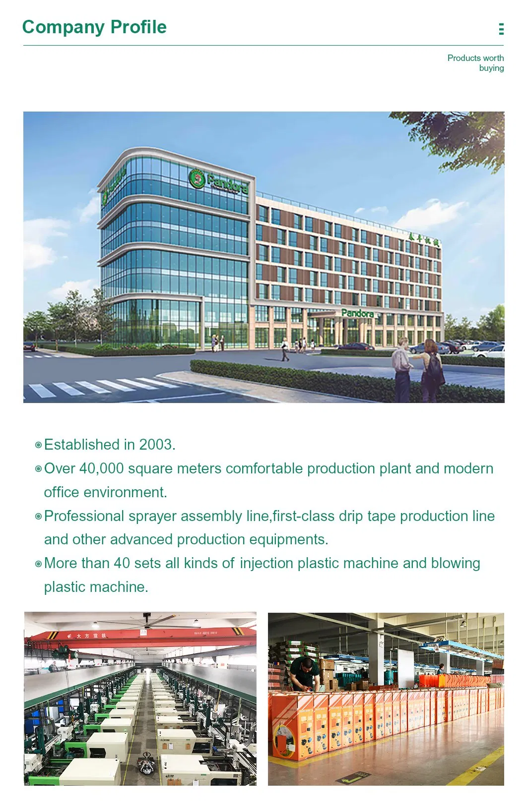 Electric Sprayer Detail 2