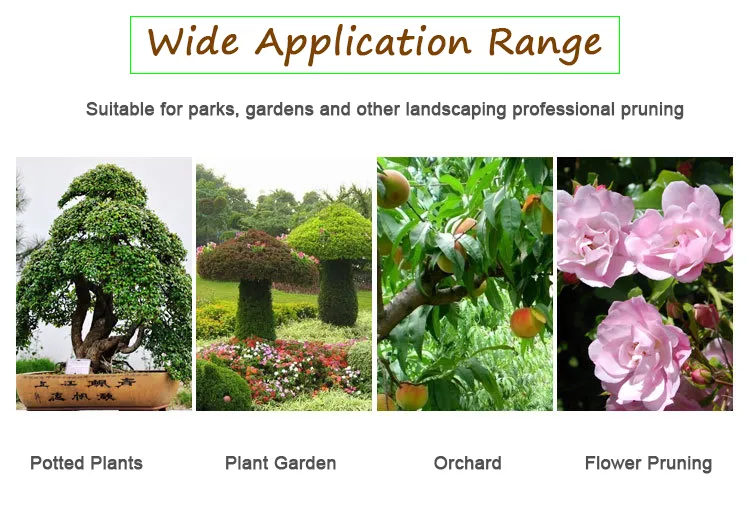 Pruning Shears Display