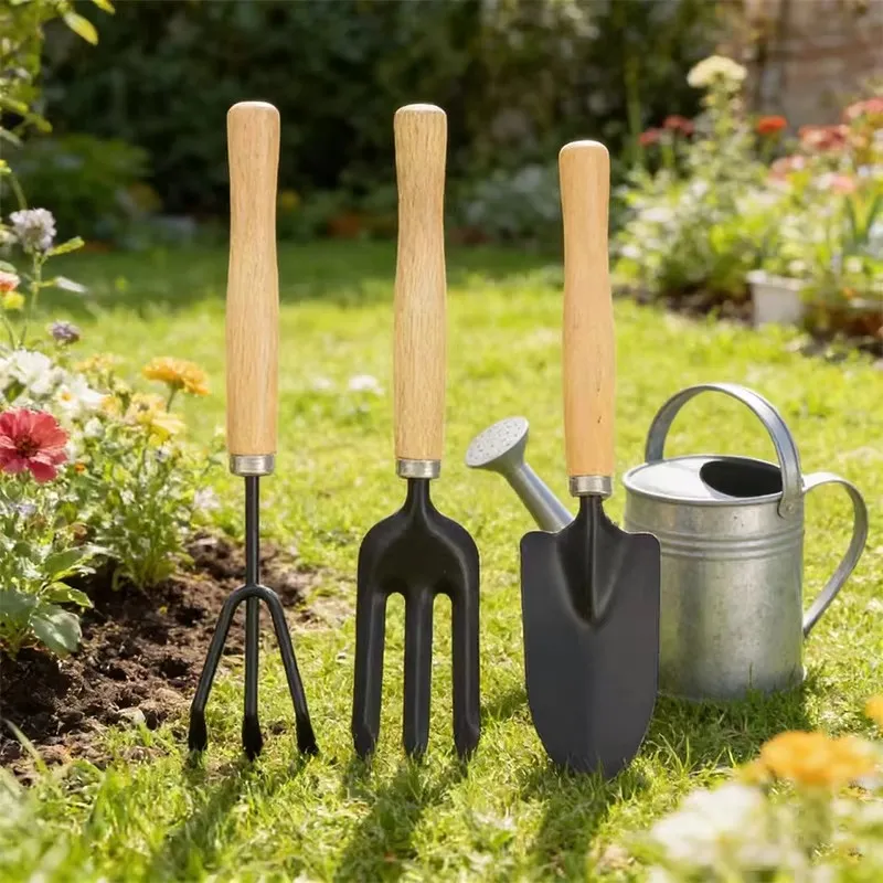 Carbon Steel Wood Handle Garden Hand Tool